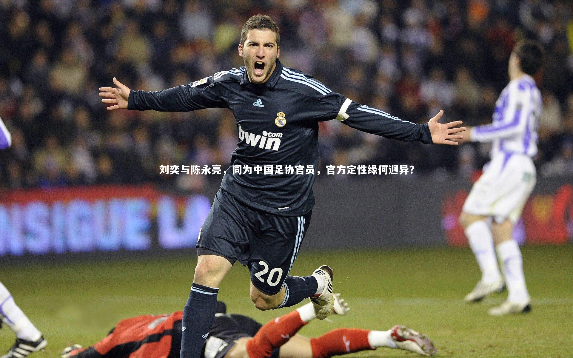 刘奕与陈永亮，同为中国足协官员，官方定性缘何迥异？