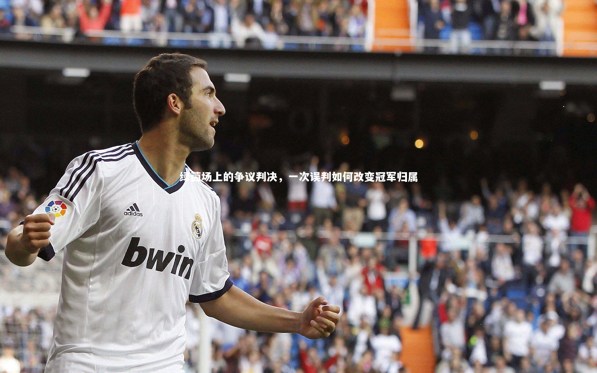 开云体育平台_绿茵场上的争议判决，一次误判如何改变冠军归属